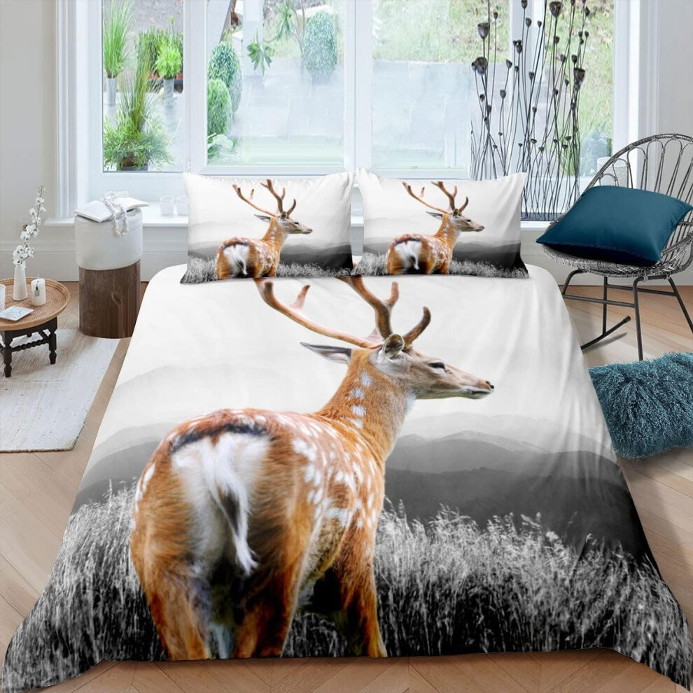 (Multi 13, Single(No Comforter)) Peacock Feather Comforter Cover Double Size Boho Peacock Bedding Set For Kids Girls Women Teal Animal Bird Feather Du