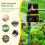 Household WIFI Solar Irrigation Timer Smart APP Control Automatic System Outdoor Water Garden Tool 5