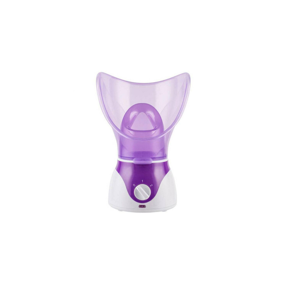 Facial Steamer SPA Pores Steam Sprayer Beauty Clean