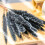 30Pcs Black Pampas Grass, 17 polegadas Natural Dryed Small Stems para decoração de casamento em casa Arranjos de flores, decoração 8