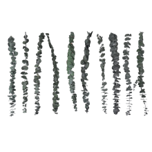 10-Pack Natuurlijke Gedroogde Eucalyptusbundel, Geconserveerde Verse Takken voor Bloemstukken Bruiloft Huisdecoratie