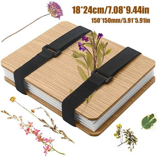 1 Σετ εργαλειοθήκη δείγματος φυτού DIY Ξύλινο φύλλο λουλουδιών Β 2
