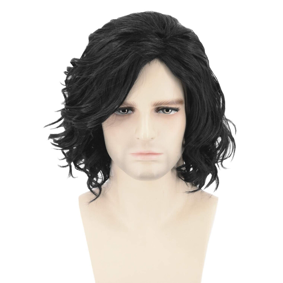 Topcosplay Unisex Black Mens Hair Wigs Short Curly Fluffy Cosplay Halloween Costume Party Wigs