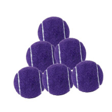 (Paars) 6 stuks tennisballen voor beginnerstraining voor racketsporten beginners buiten koffie