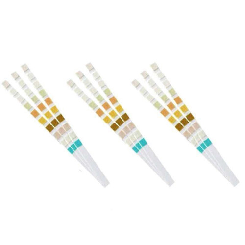 100 strips urineteststrip 10 parameters 1