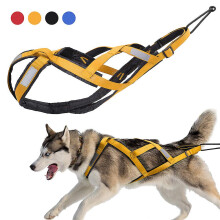 Harnais réfléchissant pour le dressage des animaux de compagnie (jaune 3XL)