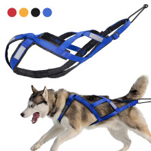 (Bleu 2XL) Harnais réfléchissant pour le dressage des animaux de compagnie