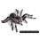 Lot de 2 araignées réalistes de 9,5 cm, modèle d'insecte, jouet effrayant 3