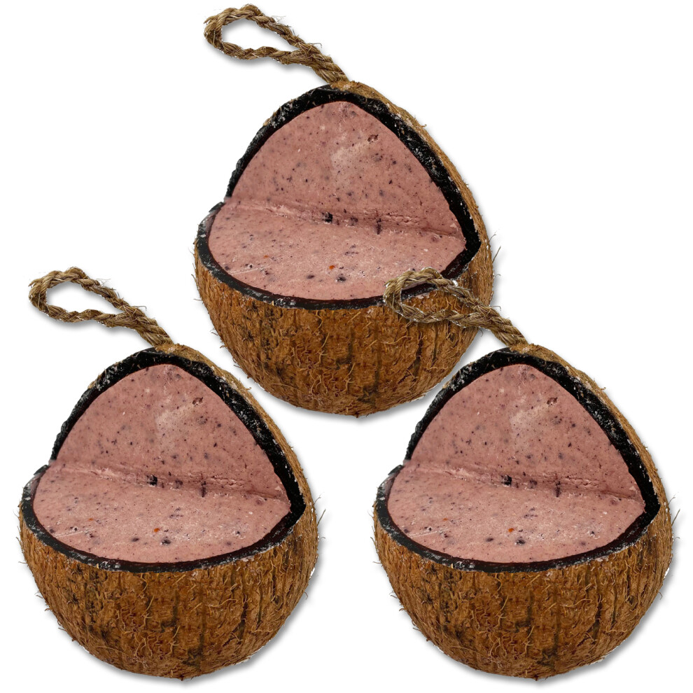 (3 x XL Coconut Feeder) XL Fruit & Berry Suet Coconut Feeder - Wild Bird Food, Hanging V-Cut Coconut