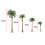 (15cm 5pcs)Ύψος Coconut Palm Tree Model DIY Park Rainforest Train Railroad Διακόσμηση Κτήριο 3