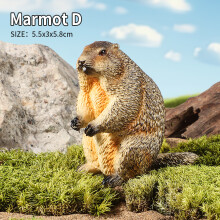 (Marmot D) Dzikie zwierzęta Symulacja gryzonia Świstak Kapibara Model Figurka akcji Kolekcja figurek