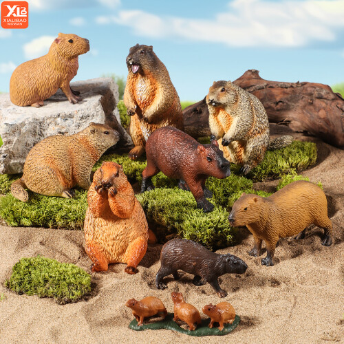 (Capybara A) Wild Animals Simulation Τρωκτικό Marmot Capybara Model Action Figure Figurine Collection 1