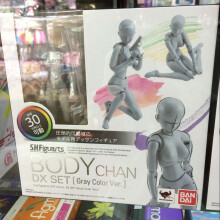 (σώμα chan γκρι-με κουτί) Υψηλής ποιότητας BJD Grey Color Ver. Μαύρο συλλεκτικό