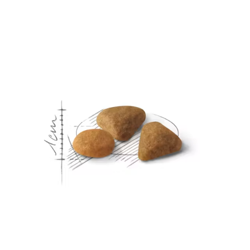 Royal Canin ROYAL CANIN Tørfoder til katte, Exigent Savour Sensation, 10 kg 1