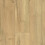 (1.99m² / Pack, Bleached Oak) Albe Wood Effect 8mm Click Laminate Flooring 2