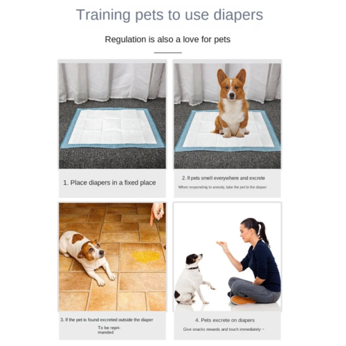 40PCS saugfähigen Hunde Windeln Einweg Puppy Training Pee Pads 1