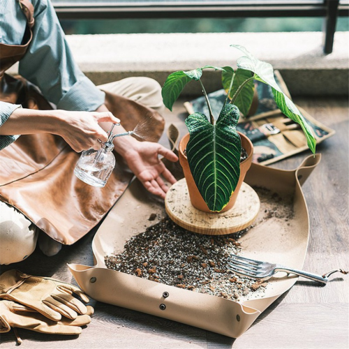 Potverwisselmat voor potplanten 1