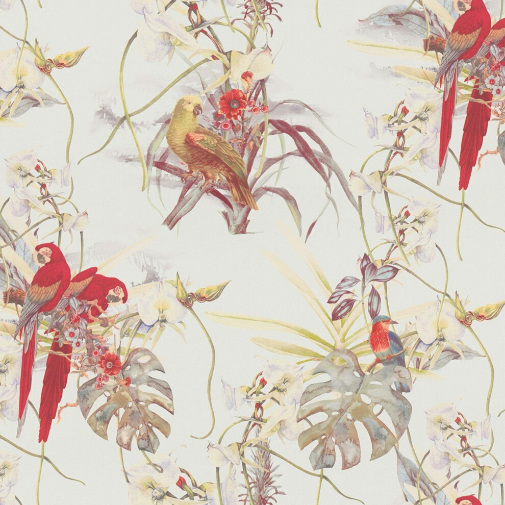 As Creation Exotic Birds Wallpaper Cream Colorfull Parrots Paste The Wall