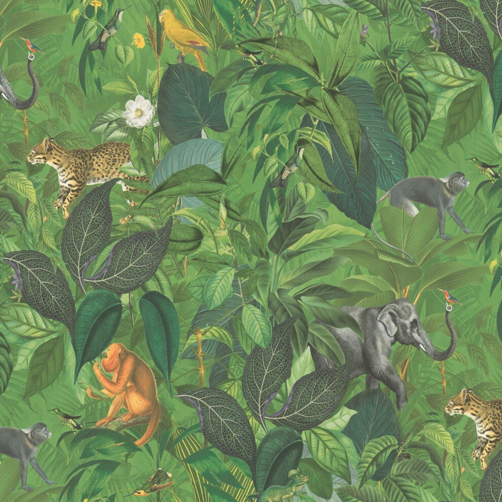 As Creation Tropical Jungle Animals Wallpaper Wildlife Paste The Wall Vinyl