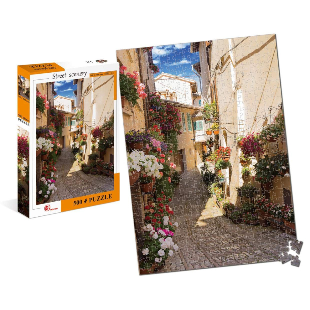 Photos - Jigsaw Puzzle / Mosaic Street Scenery Village Street 500 Piece Jigsaw Puzzle SA020163