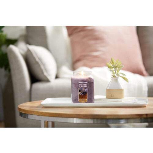 Yankee Candle Yankee Can 2