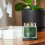 Yankee Candle Yankee Can 4
