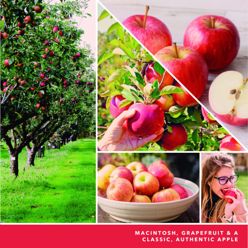 Yankee Candle Yankee Candle Macintosh Αρωματικό, Υπογραφή 4.3oz Μικρός Κερί με Μοναδικό Φιτίλι, 20+ Ώρες Καύσης 1