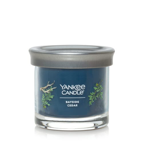 Yankee Candle Yankee Candle Άρωμα Κέδρος Bayside, 4.3oz Κερί Τύπου Τάμπλερ, 20+ Ώρες Καύσης 2