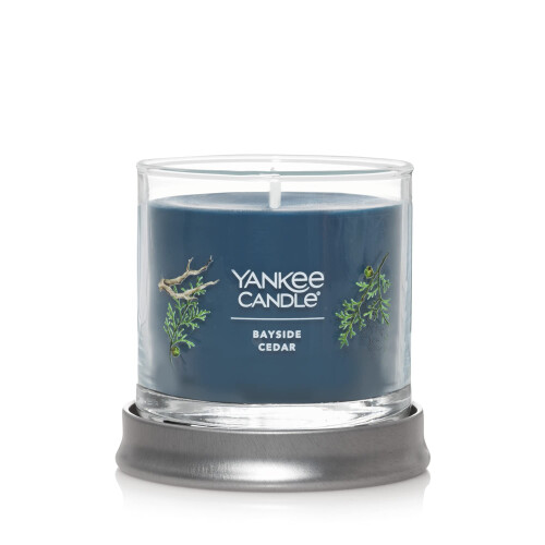 Yankee Candle Yankee Candle Άρωμα Κέδρος Bayside, 4.3oz Κερί Τύπου Τάμπλερ, 20+ Ώρες Καύσης