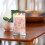 Yankee Candle Yankee Candle Άρωμα Φρέσκων Τριαντάφυλλων, Υπογραφή 20oz Μεγάλο Κερί 2-Φωτιάς 3