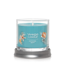 Yankee Candle Catching Rays Aromatizada, Tumbler Pequeno 4.3oz Cera com 1 Pavio, Até 20 Horas de Queima