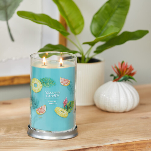 Yankee Candle Yankee Candle Άρωμα Μπαχάμες, Υπογραφή 20oz Μεγάλο Κερί Δύο Φίλτρων 2