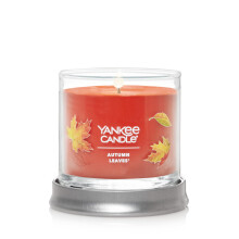 Yankee Candle Geuren van de Herfst, Signature 4,3oz Kleine Tumbler Kaars, Meer dan 20 Uur Brandtijd