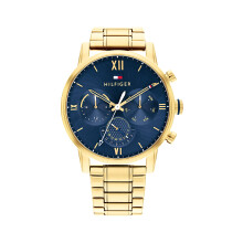 Tommy Hilfiger Men's Quartz Multifunction Stainless Steel and Link Bracelet Watch  Color: Gold (Model: 1791880)