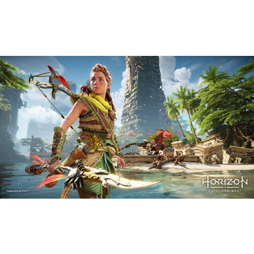 Playstation Horizon Forbidden West Standard Edition     PlayStation 5 1