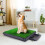 Dog Grass 1