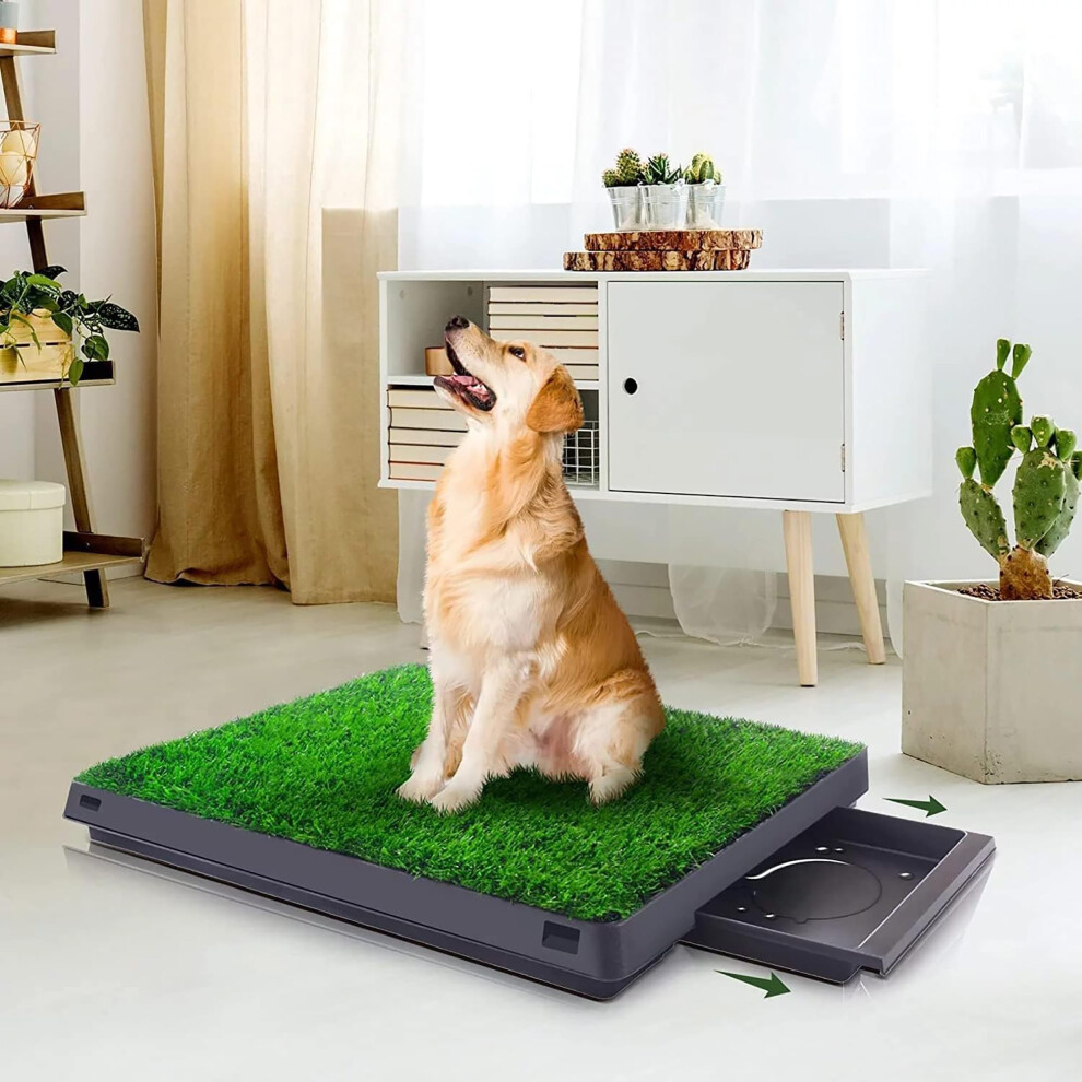 Tapis d'herbe pour chien avec plateau 25"" x 20"" pour l'apprentissage de la propret    des chiots, tapis d'urine artificiel r   utilisable, toilettes