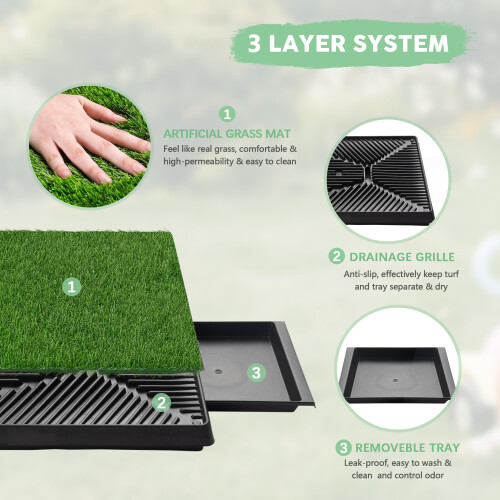 Dog Grass 2