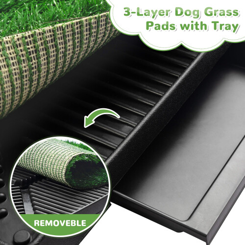 Dog Grass 1