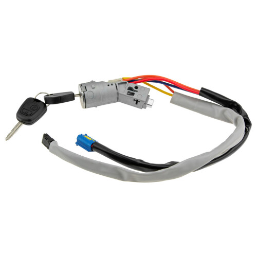NTY IGNITION FOR CITROEN BERLINGO 02- PEUGEOT PARTNER 02- 2