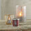 Yankee Candle Yankee Can 3