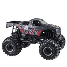 Hot Wheels Monster Jam Fahrzeug, 1:24 Maßstab