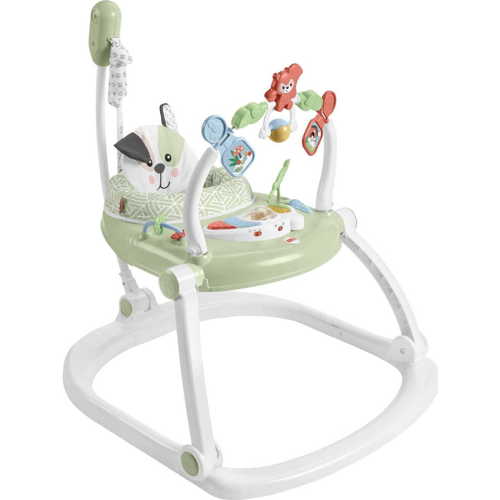 Fisher-Price Baby Bouncer SpaceSaver Jumperoo Musical Activity Center with Lights Sounds & Developmental Toys  Puppy Perfection