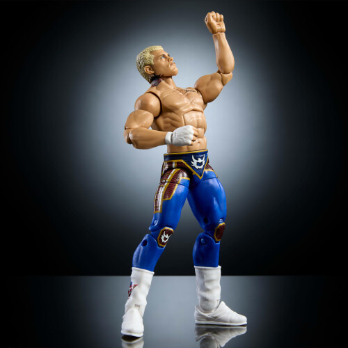 Mattel Mattel WWE Top Picks Elite Action Fig 2