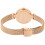 Calvin Klein Reloj Mujer CALVIN KLEIN K8G23626 - cuarzo 2