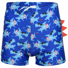 (11-12 Years, Shark) Kids Boys Quick Dry Beach Swim Shorts Age 2-14