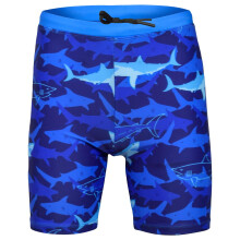 (11-12 Years, Blue Shark) Kids Boys Quick Dry Beach Swim Shorts Age 2-14