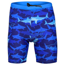 (7-8 Years, Blue Shark) Kids Boys Quick Dry Beach Swim Shorts Age 2-14