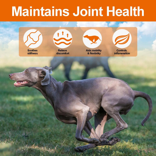150 Duck Flavour Chews for Dogs, Joint Strength & Hip Supplement 1