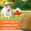 150 Duck Flavour Chews for Dogs, Joint Strength & Hip Supplement 9